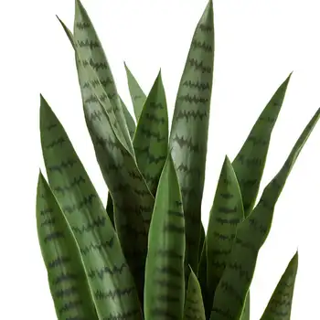 Изкуствено растение сансевиерия, зелена